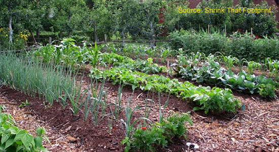 Help Spread The Word About The Farmer S Garden Community